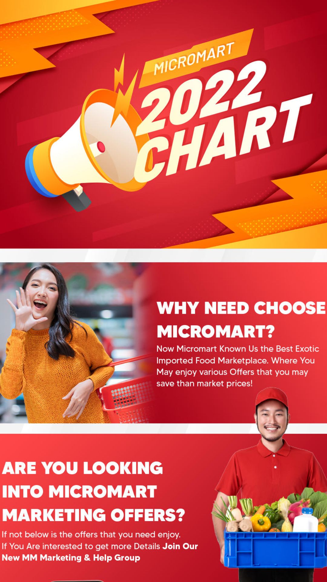 Micromart Marketing Plan (3).jpg